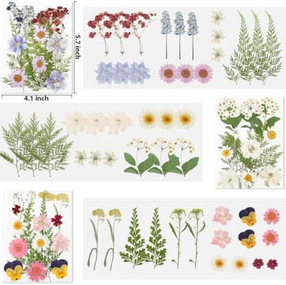Dried Pressed Flowers for Resin,103pcs Real Nature Dried Flowers for Craft - Image 3