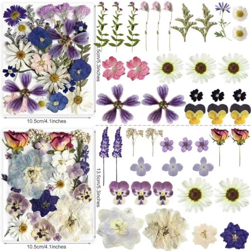 Purple Pressed Flowers 88Pcs Real Natural Dried for Resin Molds, DIY Crafts, Jewelry + Free 100Pcs Butterfly Stickers + Tweezers - Image 3