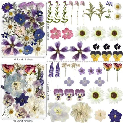 Purple Pressed Flowers 88Pcs Real Natural Dried for Resin Molds, DIY Crafts, Jewelry + Free 100Pcs Butterfly Stickers + Tweezers - Image 3