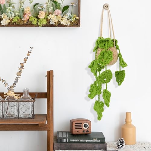 KyeeaDIY Crochet Kit for Beginners, Crochet Starter Kits, Hanging Potted Plants Knitting Crocheting Kits with Step-by-Step Video Tutorials, Complete Crochet Kit for Adults Decoration (Hanging Plants) - Image 7