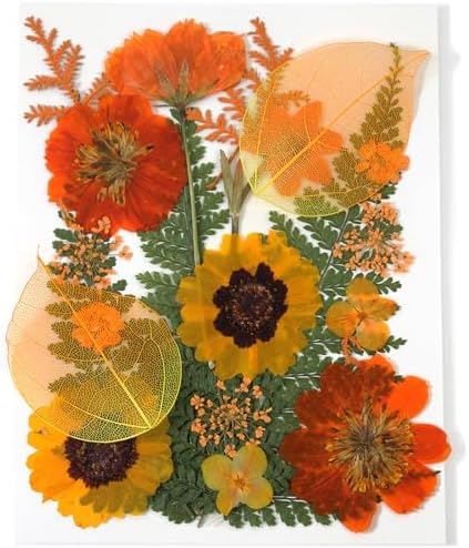 Dried Pressed Flowers Real Natural Petals Bulk Dried Leaves Plant for DIY Art Resin Candle Jewelry Making Bookmarks Scrapbooking Card Decorations Phone Case by Unknown