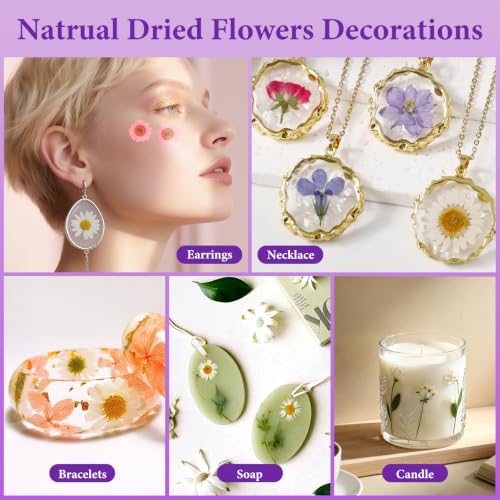 NESCCI 247 Pcs Dried Flowers for Crafts,Real Natural Dried Pressed Flowers - Image 7