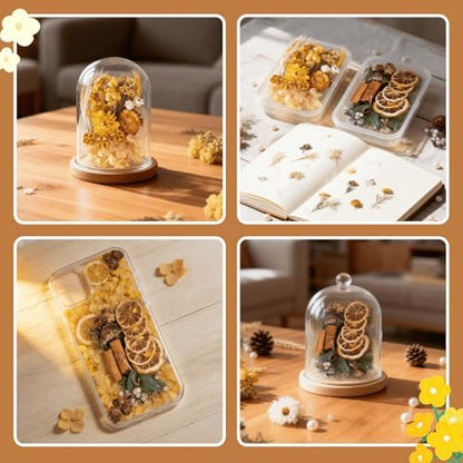 2PCS Dried Flowers Kit, Natural Dried Flowers Kit for DIY Crafts, Scrapbook, Card Making (Style6_10) - Image 4