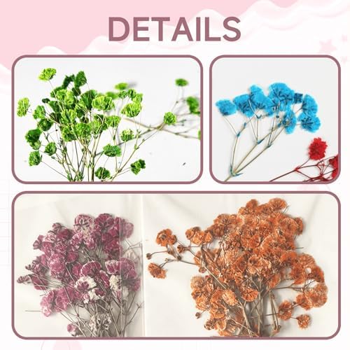 9 Pack Dried Flowers, Natural Pressed Flowers Kit for DIY Crafts, Scrapbook, Card Making,9 Colors - Image 5