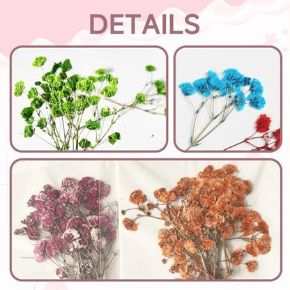 9 Pack Dried Flowers, Natural Pressed Flowers Kit for DIY Crafts, Scrapbook, Card Making,9 Colors - Image 5