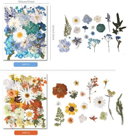 184 PCS Real Pressed Dried Flowers and Leaves for Resin - Image 6