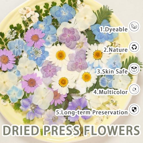 Dried Pressed Flowers Real Pressed Flowers Natural Dry Leaves Bulk Mixed Colorful Herbs Kit with Tweezers for Scrapbooking DIY Candle Jewelry Crafts Making Nails (White, Purple, Blue) - Image 2