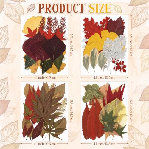 Timtin 84 Pcs Dried Pressed Leaves Flowers for Resin, Fresh - Image 2
