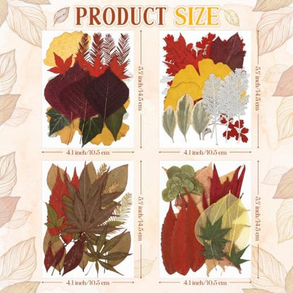 Timtin 84 Pcs Dried Pressed Leaves Flowers for Resin, Fresh - Image 2