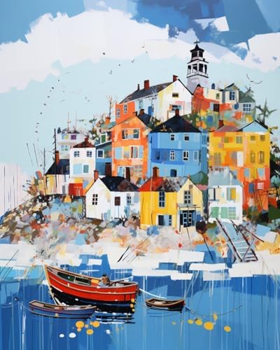 DYAIANGMU House Paint by Numbers Kit for Adults Beginners 19.6X15.7 inch by Unknown