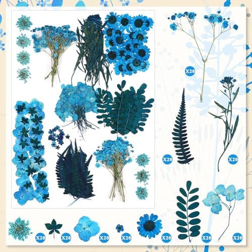 Fabbay 200 Pcs Dried Pressed Flowers Natural Leaves for Resin Nail, Blue - Image 3