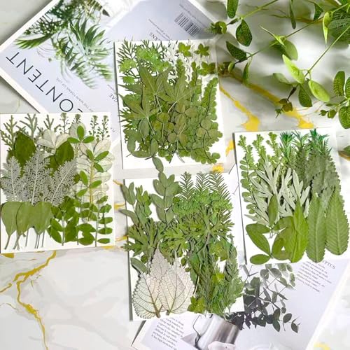 100 Pcs Dried Pressed Flowers Leaves for Resin Molds, Real Natural Bulk Dry Wildflowers Perfect for Epoxy, DIY Crafts, Soap Candles Jewelry Making, and Home Decor - Image 2