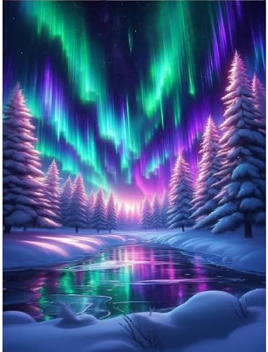 TCDZMYGS Aurora Paint by Numbers Kit for Adults Beginner,Landscape Adult Paint by Number Kits on Canvas Without Frame,DIY Acrylic Oil Painting by Numbers Kits for Home Wall Decor 12x16 inch by TCDZMYGS