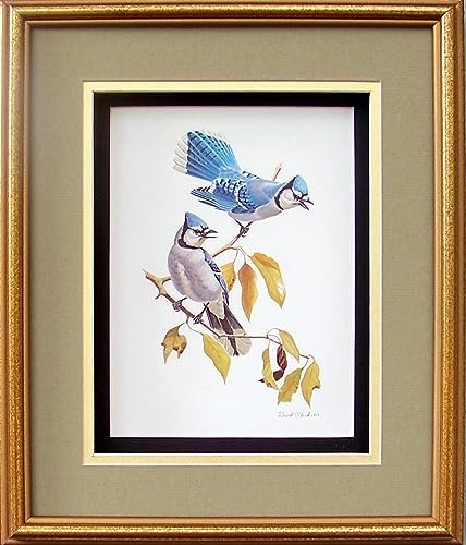 DSC Blue Jay Birds Paper Tole 3D Decoupage Craft Kit Size 8x10 inches 8062 (The Additional Pictures Show This Craft Kit Framed in a Shadow Box Frame) - Image 3