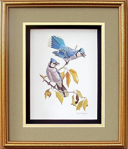 DSC Blue Jay Birds Paper Tole 3D Decoupage Craft Kit Size 8x10 inches 8062 (The Additional Pictures Show This Craft Kit Framed in a Shadow Box Frame) - Image 3