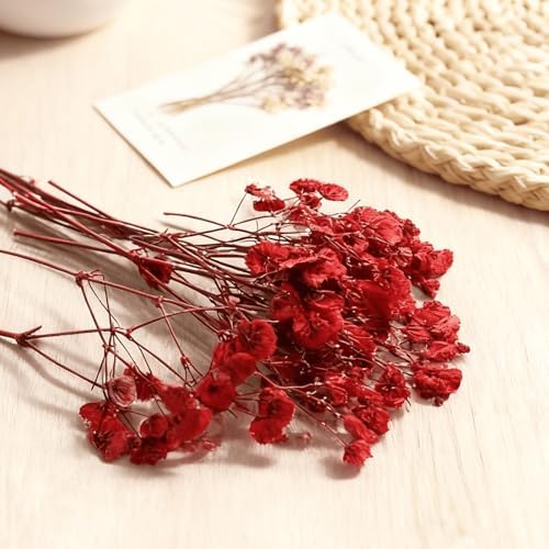 9 Pack Dried Flowers, Natural Pressed Flowers Kit for DIY Crafts, Scrapbook, Card Making,9 Colors - Image 4