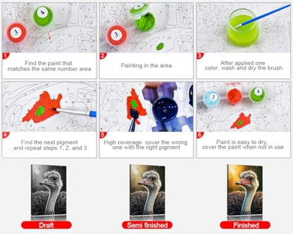 TUMOVO Adults Paint by Numbers Kit African Wildlife Art Colorful Ostrich Bird Painting by Numbers for Adults Exotic Animal DIY Canvas Artwork for Home Wall Decor Acrylic Paints and Brushes 16x20 Inch - Image 5