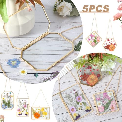 5 PcsDouble Glass for Pressed Flowers,Clear Brass Embossed Frame with Tweezers,Can Be Used for Dried Flower Plant Photo Postcards Wall Mounted Glass Pressed Flower Frame,No Dried Flowers - Image 2