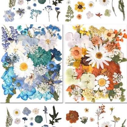 184 PCS Real Pressed Dried Flowers and Leaves for Resin - Image 4