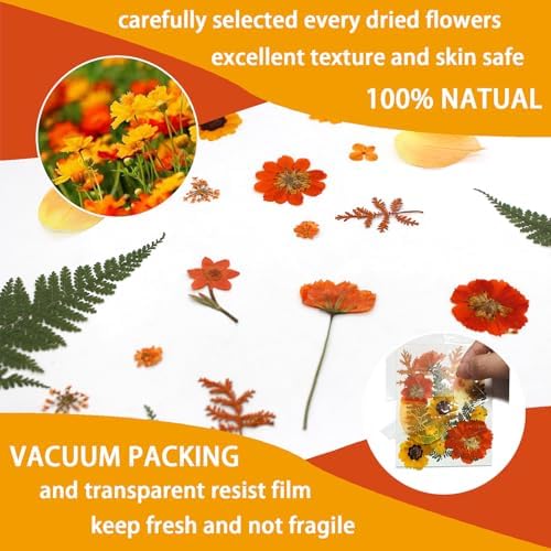 Dried Pressed Flowers Real Natural Petals Bulk Dried Leaves Plant for DIY Art Resin Candle Jewelry Making Bookmarks Scrapbooking Card Decorations Phone Case - Image 4