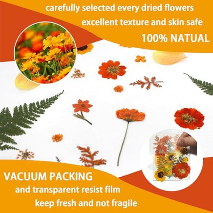 Dried Pressed Flowers Real Natural Petals Bulk Dried Leaves Plant for DIY Art Resin Candle Jewelry Making Bookmarks Scrapbooking Card Decorations Phone Case - Image 4