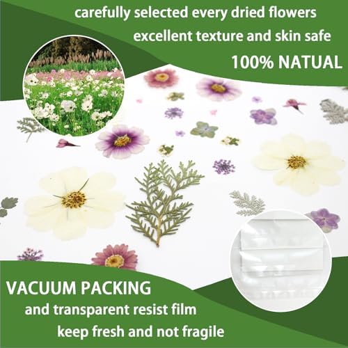 40PCS Real Nature Dried Pressed Flowers for Resin Mold, Dry Pressing Floral with Butterfly Transparent Stickers Set for DIY Jewelry Card Scrapbook Art Craft Decors - Image 3