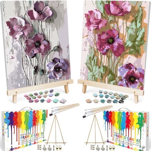 BAISITE Paint by Numbers Kit for Adults Beginners,12" Wx16 L 2 Pack Canvas for Painting Kits for Adults in Colorful Box 6566 Already Framed by PaintbyNumbersKitsforAdults