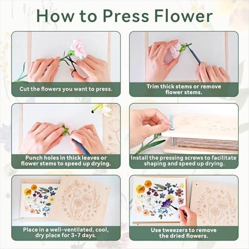 TTUGTTUG Large Flower Press Kit, 15.7" x 11.8" Wooden Pressed Flowers - Image 5