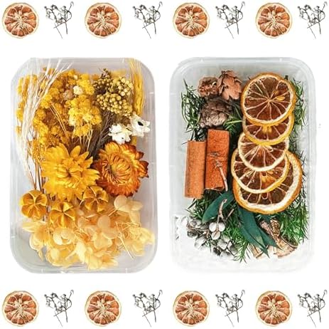 2PCS Dried Flowers Kit, Natural Dried Flowers Kit for DIY Crafts, Scrapbook, Card Making (Style6_10) by Unknown