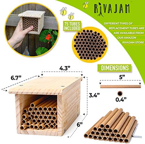 Rivajam Build a Bee House DIY Woodworking Project | Solitary Mason Bee House Nesting Box Wood Building Kit & Tools | Garden Arts & Crafts Activities for Toddler Boys & Girls Kids Teens Adults & Family - Image 3