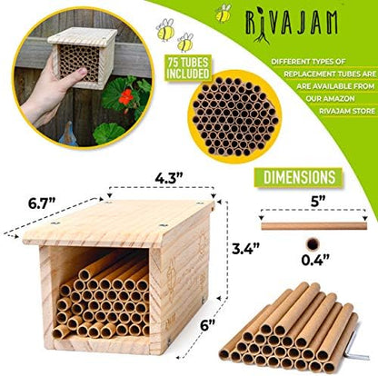 Rivajam Build a Bee House DIY Woodworking Project | Solitary Mason Bee House Nesting Box Wood Building Kit & Tools | Garden Arts & Crafts Activities for Toddler Boys & Girls Kids Teens Adults & Family - Image 3