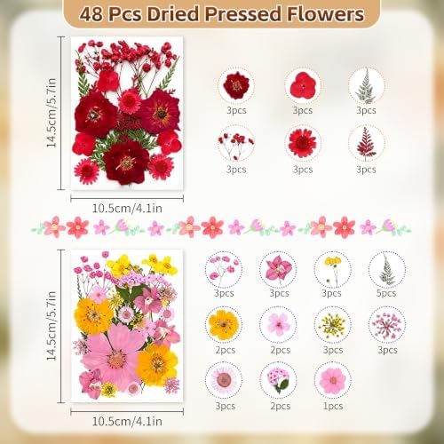 Dried Pressed Flowers for Resin Crafts, Real Dried Flowers and Leaves Kit for Resin Jewelry Molds, Candle & Soap Making, Scrapbooking DIY, Nail Art (Pink, Red) - Image 2