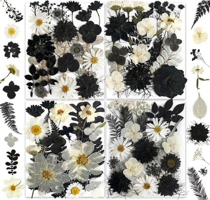 131PCS Black White Dried Pressed Flowers with Butterfly Stickers - YouthBro Real Nature Flowers Craft Set for Craft Resin DIY Jewelry Candle Soap Making Nail Card Scrapbook Art Floral Decors by YouthBro