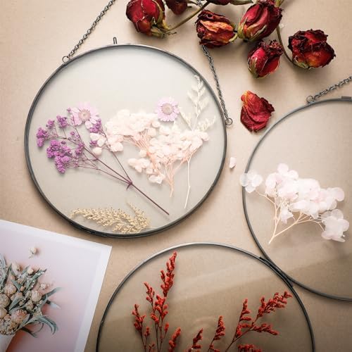8 Inch 4 Pcs Pressed Flower Frames Double Glass Frame Wall Decor, Black - Image 3