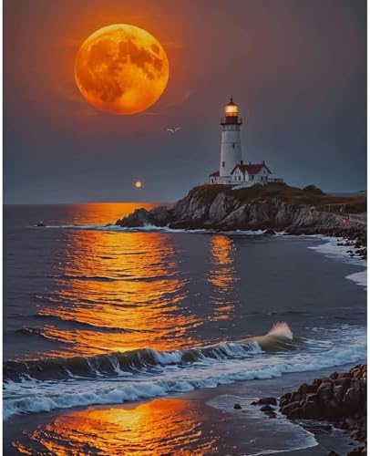 Fountor Moon Paint by Numbers Kit for Adults Beginner 16x20 Inch by Fountor