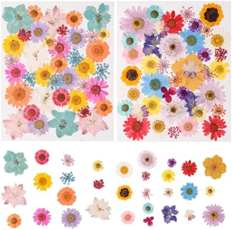 80PCS Multicolor Pressed Dried Flowers Dry Leaves by nisetten