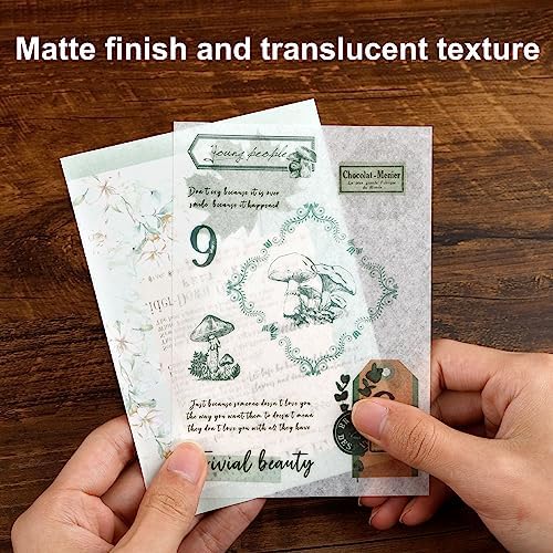 Dizdkizd Botanical Washi Stickers for Journaling, Ephemera Sticker Book for Junk Journal with 180pcs Plant Washi Stickers and 20 Adhesive Scrapbook Sticker Sheets, Vintage Scrapbooking Supplies - Image 4