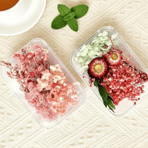 2PCS Dried Flowers Kit, Natural Dried Flowers Kit for DIY Crafts, Scrapbook, Card Making (Style_5_34) - Image 3