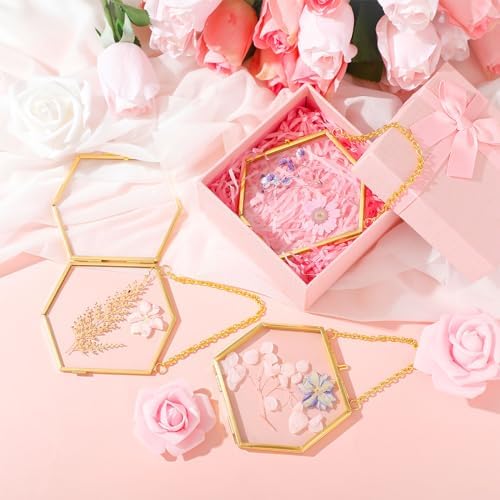 12 Pcs Pressed Flower Frames Craft Kit for Adults Double Glass Frame Decor - Image 4