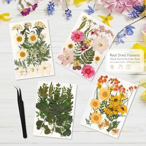 Relaxing Garden Pressed Flower Frame Kit, 3 Hanging Glass Frames - Image 6