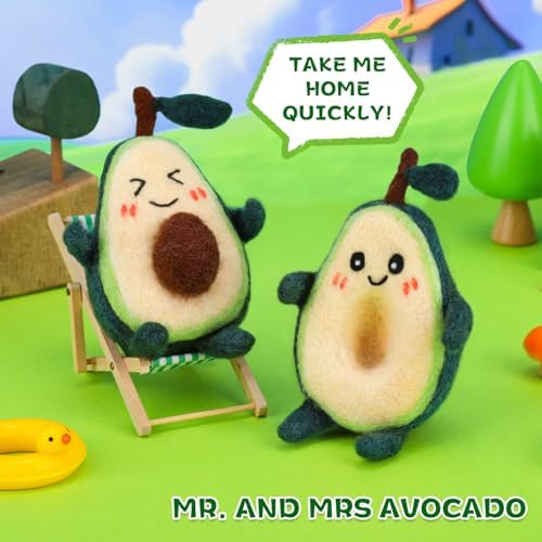 OEHPICC 2 Pcs Avocado Needle Felting Kit, Needle Felting Kits for Adults - Image 6