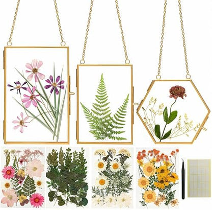 Relaxing Garden Pressed Flower Frame Kit, 3 Hanging Glass Frames by RlexingGarden%E2%80%98sDecor
