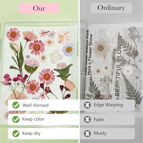 Aboofx 8PCS Dried Flower Storage Set with Blotting Paper,Ziplock Bag and Desiccant,Flower Preservation Kit,Good Seal,High Capacity to Keep Flowers Color&Dry (4pcs 5.7"x2.7"+2pcs 7"x5"+2pcs 12"x8.8") - Image 2