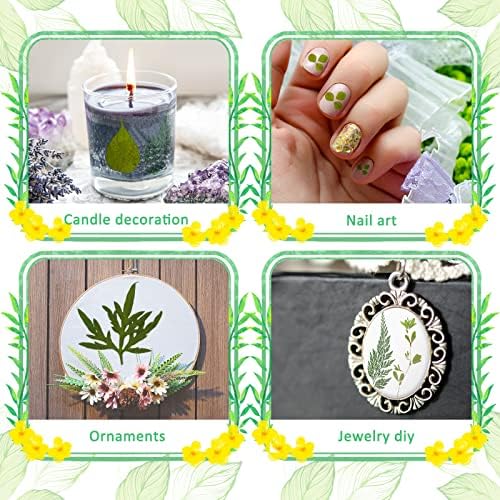 Timtin 84 Pcs Dried Pressed Leaves Flowers for Resin, Classic - Image 4