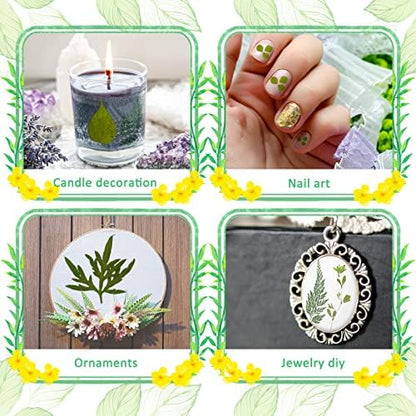 Timtin 84 Pcs Dried Pressed Leaves Flowers for Resin, Classic - Image 4