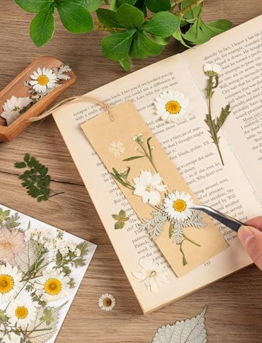 100pcs White and Light Yellow Dried Pressed Flowers Bulk, Natural Fall Pressed Dried Flowers with Tweezer for DIY Crafts Resin Mold Candles Cake Bridal Scrapbooking Supplies - Image 6