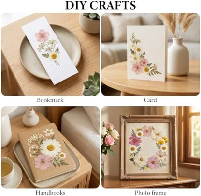 NESCCI 83 Pcs Dried Flowers for Crafts,Real Natural Dried Pressed Flowers - Image 4