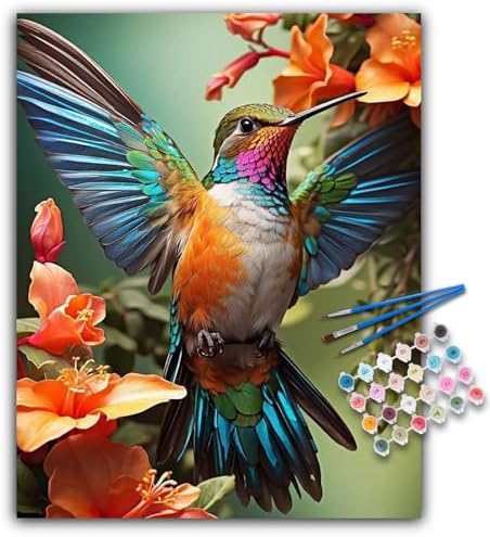 Paint by Numbers Kit for Adults, Hummingbird Acrylic Canvas Painting Set by Offito