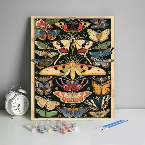 HULDFRDA Paint by Numbers Kit for Adults Butterflies and Moths Paint by Numbers Insect Paint by Number Kits DIY Painting by Numbers Adults' Paint-by-Number Kits Home Wall Decor,16x20 Inch by Unknown