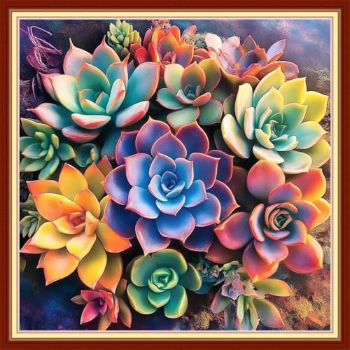 Joyhoor Cross Stitch Kits for Beginners Stamped Cross-Stitch Supplies Needlework preprint Embroidery Kits for Adults DIY Needlepoint Kits Embroidery Patterns 11CT-Colorful succulent plants 18x18 inchs by JoyhoorCrossStitchKits